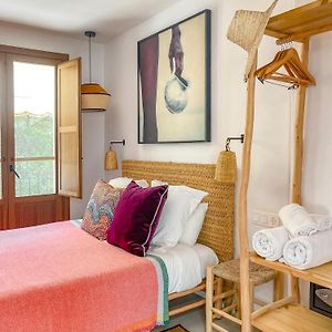 Suite Executive
